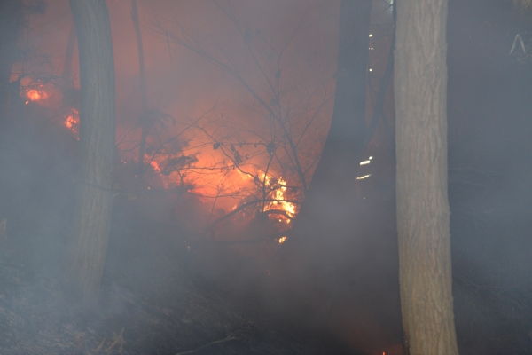 남양주시 진건읍 용정리 인근 야산 에서 28일 새벽 3시40분쯤 화재가 발생 했다.(사진=재난안전본부)
