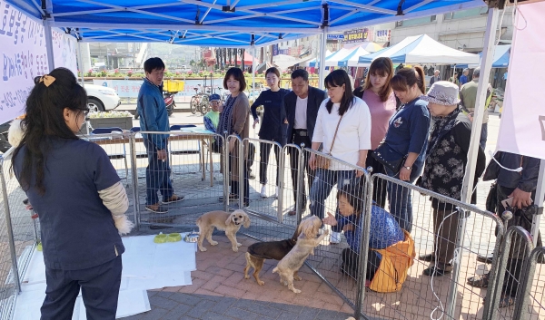 중앙시장 광장에서 시민들을 대상으로 반려동물 입양 상담과 홍보를 하고 있는 모습