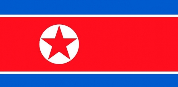 북한 인공기